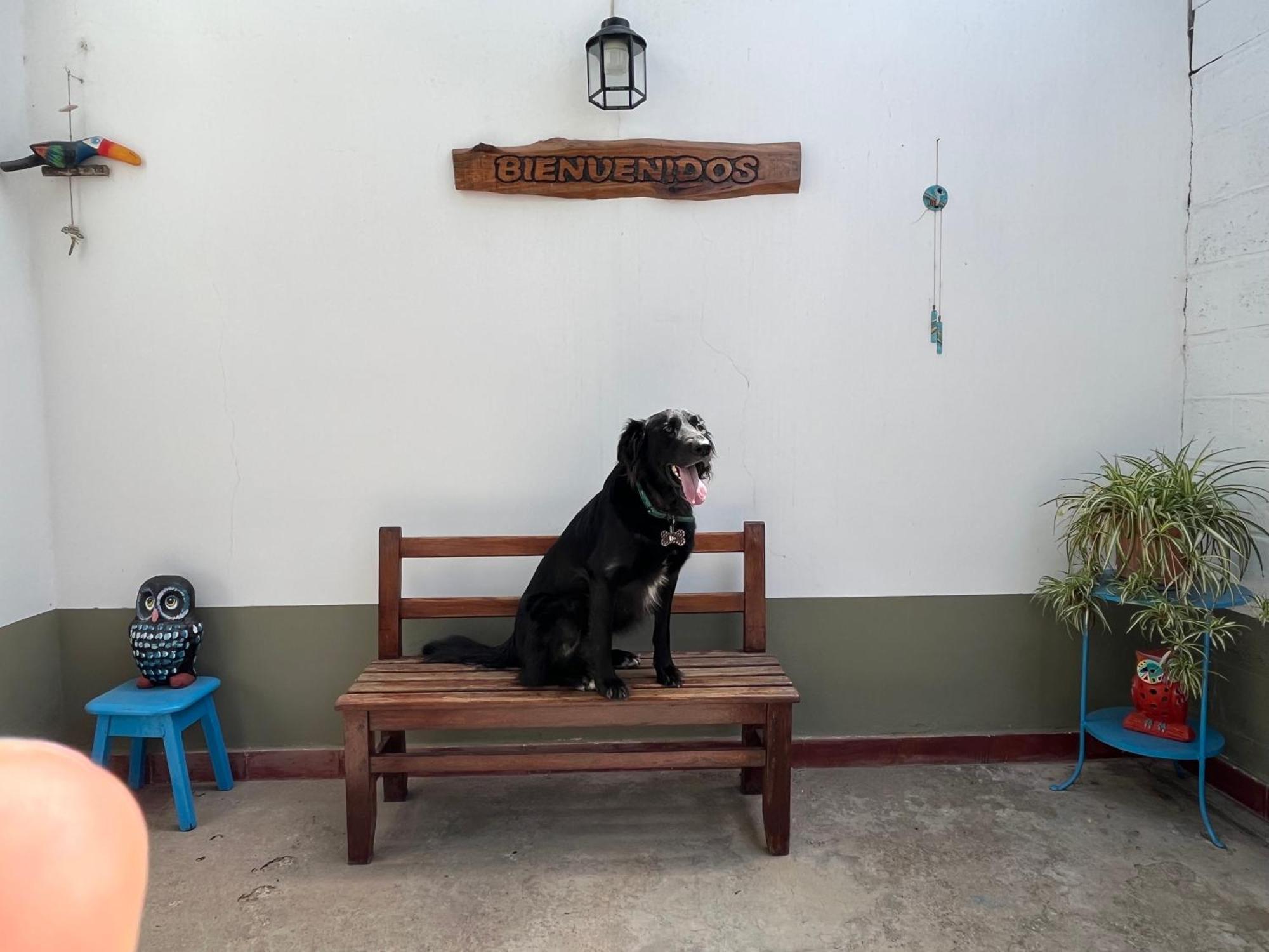 Casa Rustica Nortena Candy Con Parking